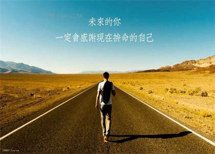 东北林业大学考研资讯