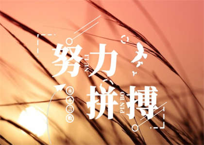 东北林业大学考研资讯