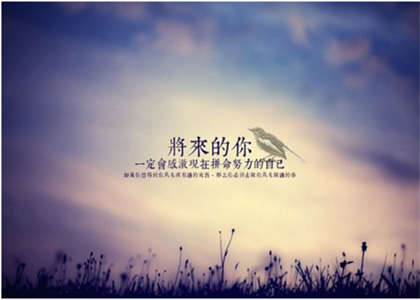 东北林业大学考研资讯